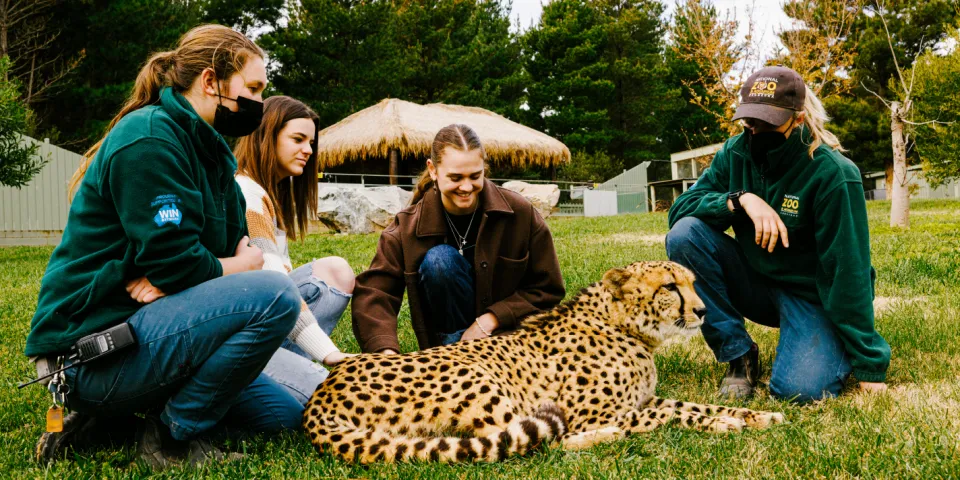 Visit Canberra – Strategy 1